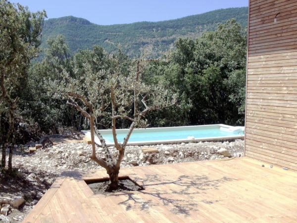 Plantation olivier terrasse bois
